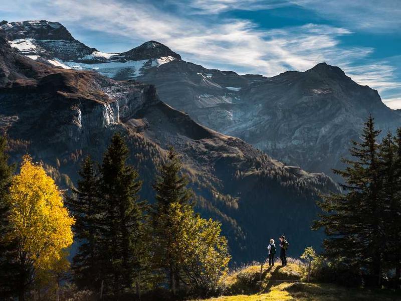 English Breakfast Tea