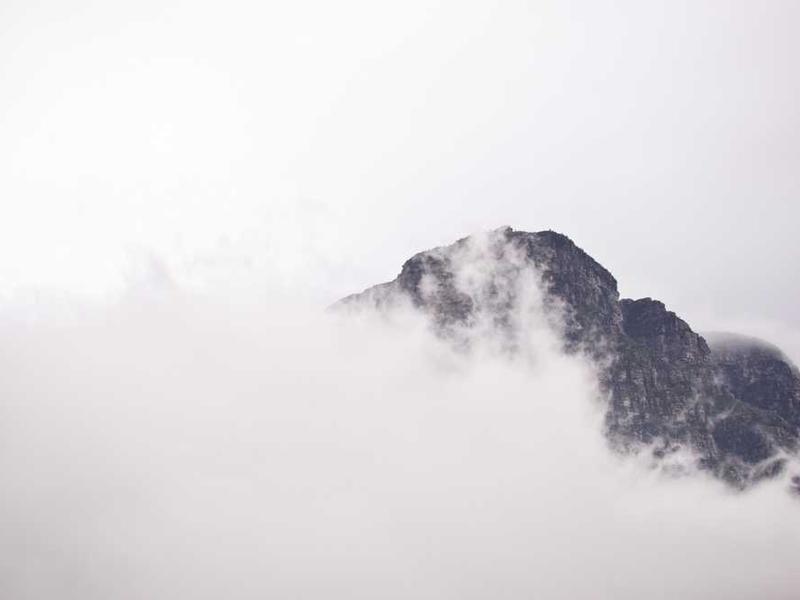 Double Chocolate Brownie