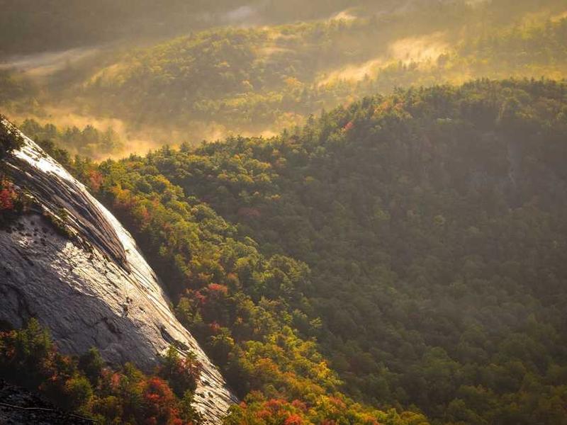 Double Chocolate Brownie