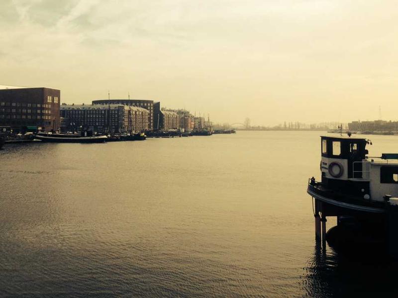 Cookie Dough Brownie