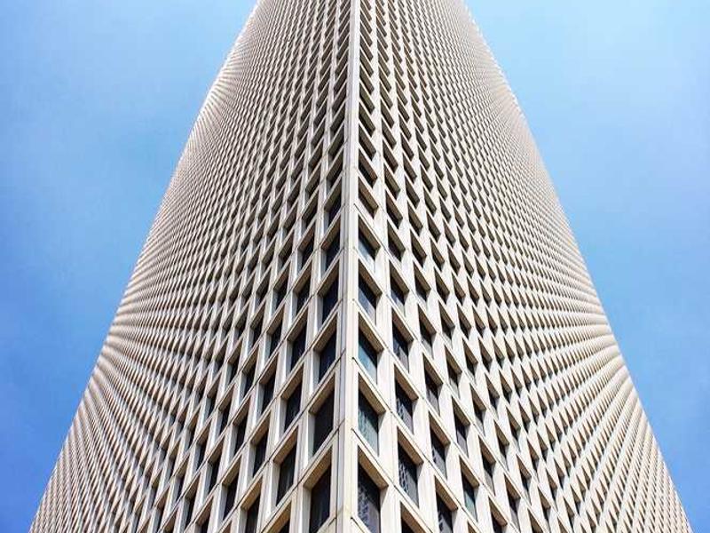 Peanut Butter Cookie