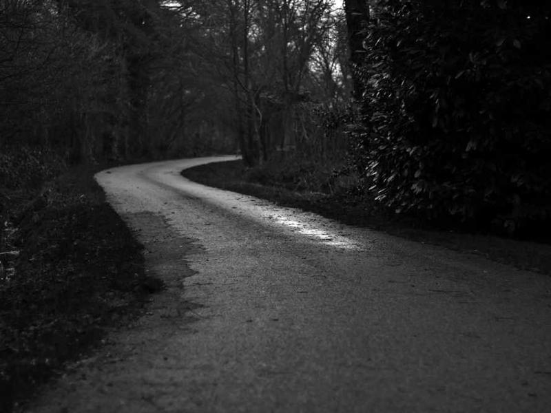 Mint Chocolate Cupcake