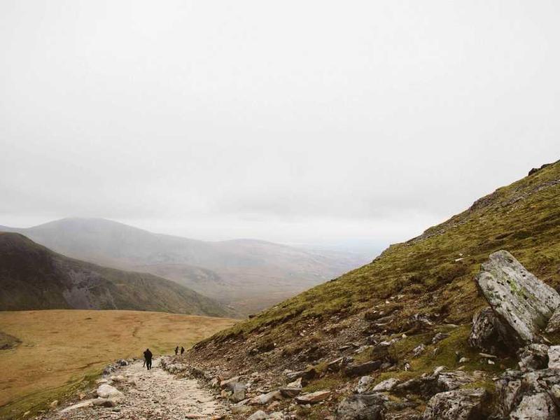 BBQ Chicken Sandwich